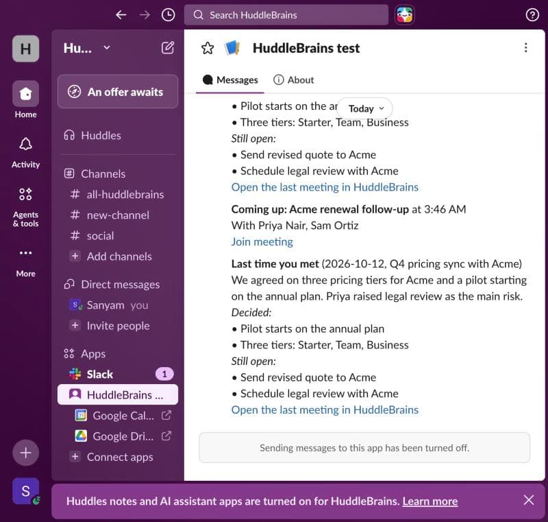 A pre-meeting brief received as a Slack direct message